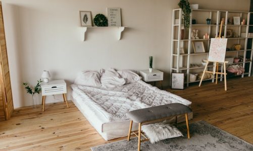 Come sbarazzarsi delle cimici da letto: Ripristina la tranquillità nella tua camera da letto con una disinfestazione efficace