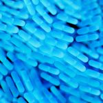 In quali settori vengono utilizzati i fluoropolimeri?