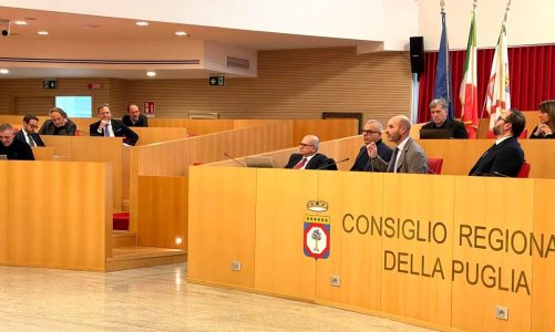 Collegamenti, costi, parcheggi e tutti gli altri nodi dell’Aeroporto in Commissione