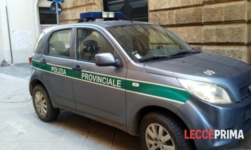 Limiti di velocità: i controlli della polizia locale sulle strade di competenza provinciale