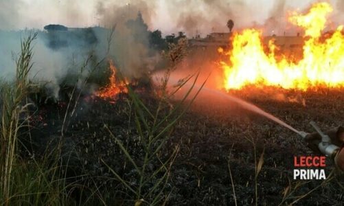 Gli automobilisti segnalano le fiamme: intervento per spegnere il rogo in un canneto