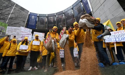 A Bruxelles la rabbia degli agricoltori, tra disordini e richieste all’Ue