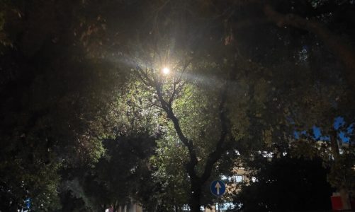 Problemi d’illuminazione, decoro e sicurezza in via Adua: “Trascurata dall’amministrazione”