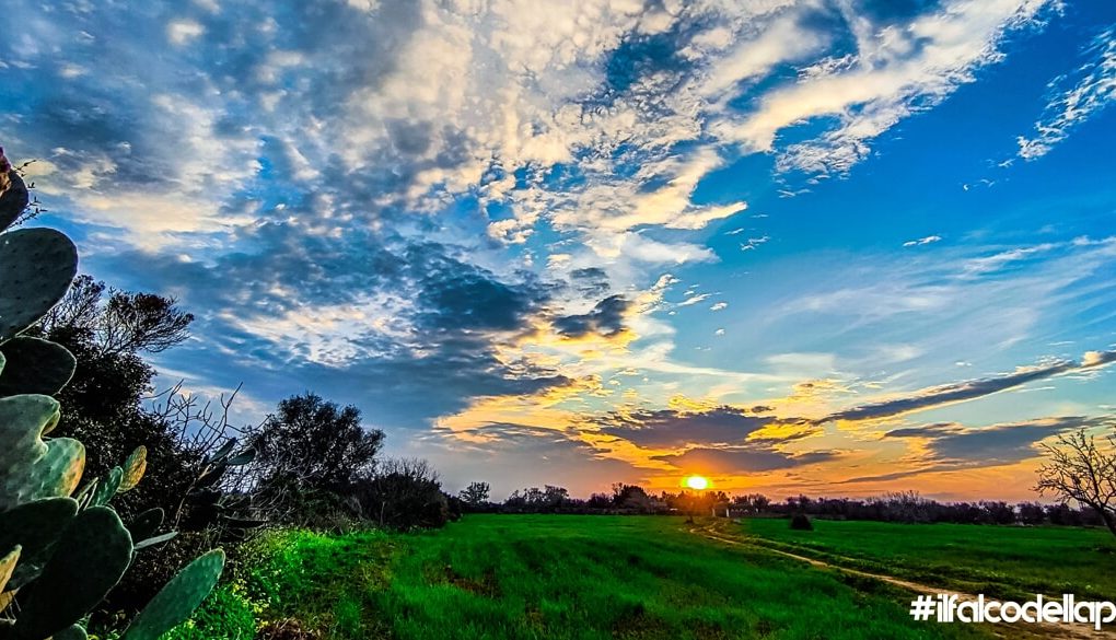 “I colori più belli non sono del pittore, ma quelli della natura”