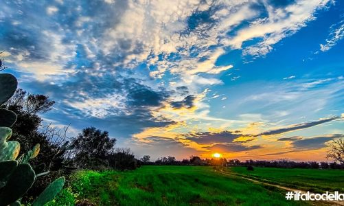 “I colori più belli non sono del pittore, ma quelli della natura”