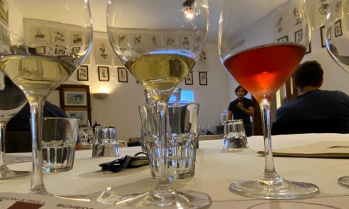 La provincia di Lecce ha i suoi primi “assaggiatori di vino” Onav