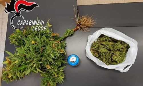 Perquisizione in casa di un 36enne: sotto sequestro piante di cannabis, marijuana e hashish