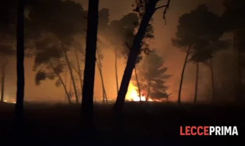 I roghi per combattere i roghi. In Puglia da 2 anni attesa attuazione della legge per l’uso del “fuoco prescritto”