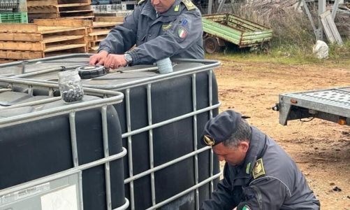 Imprenditore agricolo vendeva in nero il carburante agevolato: sei denunce