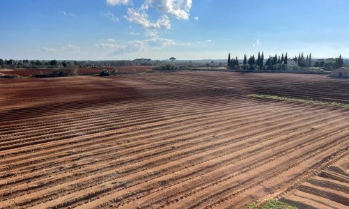 A Corigliano d’Otranto “Inno alla natura”