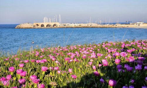 Il contrasto dei colori Il contrasto dei colori e la “benedizione” del primo bagno